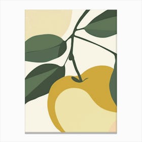 Apples Close Up Illustration 3 Canvas Print