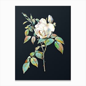 Vintage Fragrant Rosebush Botanical Watercolor Illustration on Dark Teal Blue n.0564 Canvas Print