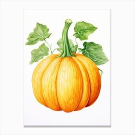 Turban Squash Pumpkin Watercolour Illustration 4 Canvas Print