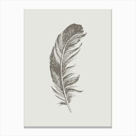 Grey Feather Print 4 Canvas Print