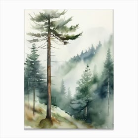 Appalachian Mountains of Misty Pines Watercolor Print of Evergreen Forest..147 Canvas Print