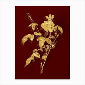 Vintage White Bengal Rose Botanical in Gold on Red n.0113 Canvas Print