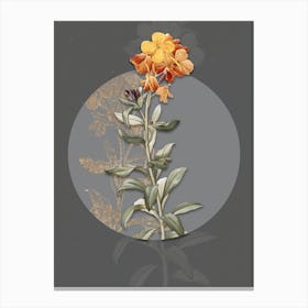 Vintage Botanical Yellow Wallflower Bloom on Circle Gray on Gray n.0089 Canvas Print