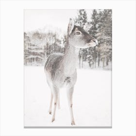 Gray Winter Deer Canvas Print