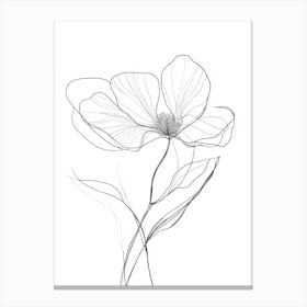 Drawing Of A Flower 2 Canvas Print