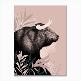 Bull Canvas Print