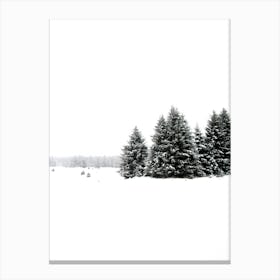 White White Winter 2 Canvas Print