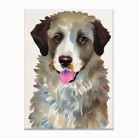 Spanish Water Dog 2 Watercolour dog Canvas Print