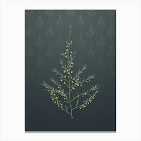 Vintage Sea Asparagus Botanical on Slate Gray Pattern n.0674 Canvas Print