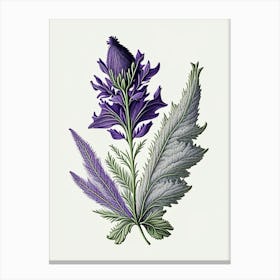Lavender Leaf Vintage Botanical 1 Canvas Print
