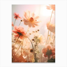 Flowers In The Sun Canvas Print