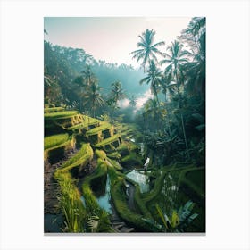 Rice Terraces In Bali 1 Canvas Print