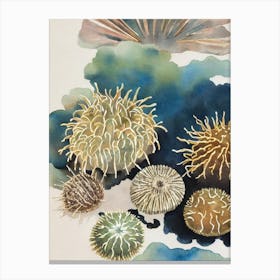 Sea Urchin Vintage Graphic Watercolour Canvas Print