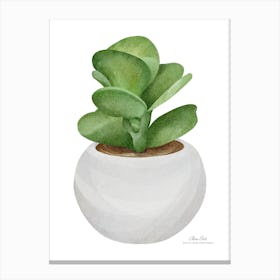 Succulent Plant In A Pot.A fine artistic print that decorates the place. Canvas Print