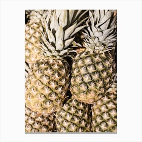 Pineapples On Bali Island Canvas Print
