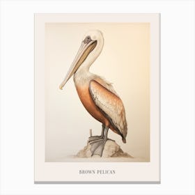 Vintage Bird Drawing Brown Pelican 3 Poster Canvas Print