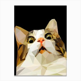 scared cat meme Canvas Print