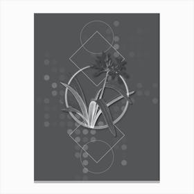 Vintage Pancratium Illyricum Botanical with Line Motif and Dot Pattern in Ghost Gray n.0313 Canvas Print