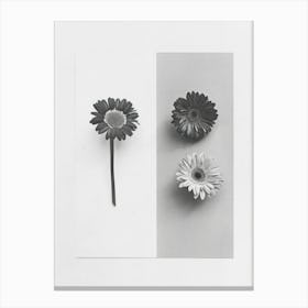 Gerbera Flower Photo Collage 1 Canvas Print