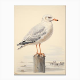 Vintage Bird Drawing Seagull 1 Canvas Print