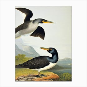 Cormorant James Audubon Vintage Style Bird Canvas Print