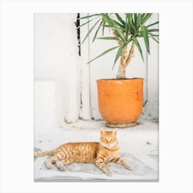 Ginger Cat In Greece Canvas Print