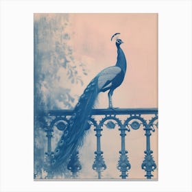 Cyanotype Inspired Peacock Resting On A Handrail 1 Canvas Print