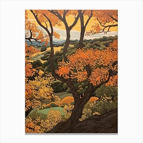 Black Walnut 2 Vintage Autumn Tree Print  Canvas Print