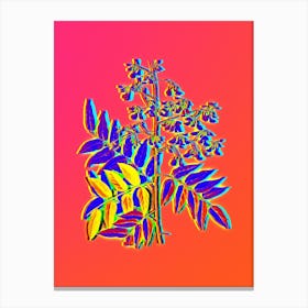 Neon Japanese Pagoda Tree Botanical in Hot Pink and Electric Blue n.0101 Canvas Print