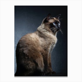 Siamese Cat 1 Canvas Print