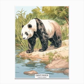 Giant Panda Standing On A River Bank Poster 2 Canvas Print