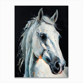 A stunning black and white portrait of a white horse Of Equine Majesty Canvas Print