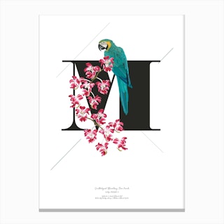 Botanical Alphabet M Canvas Print