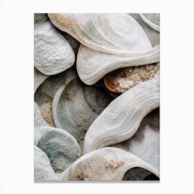 Sea Shell Detail No 4 Canvas Print