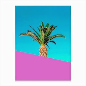 Palm Pink Canvas Print
