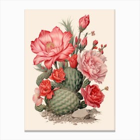 Vintage Cactus Illustration Acanthocalycium Cactus 2 Canvas Print