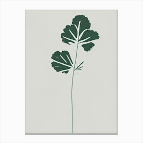 Cilantro Herb Simplicity Canvas Print