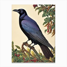 Raven Haeckel Style Vintage Illustration Bird Canvas Print