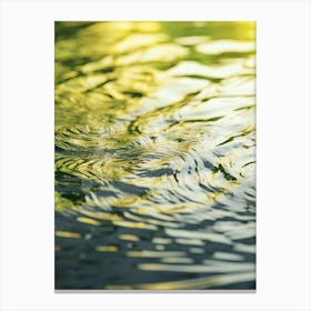Water Ripples 4 Canvas Print