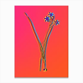 Neon Ixia Longiflora Botanical in Hot Pink and Electric Blue n.0212 Canvas Print