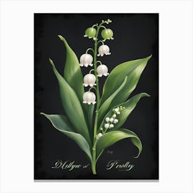 Lily Of The Valley 6 Canvas Print