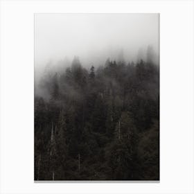 Rugged Foggy Forest Canvas Print
