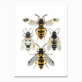 Colourful Insect Illustration Yellowjacket 6 Canvas Print