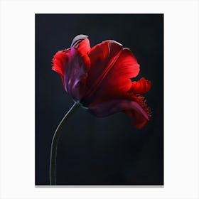 Poster Red Beauty 2 Canvas Print