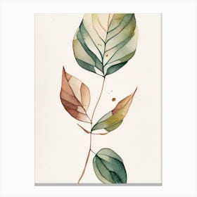 Wild Sarsaparilla Leaf Minimalist Watercolour 1 Canvas Print