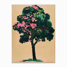 Boxwood Tree Colourful Illustration 1 1 Canvas Print