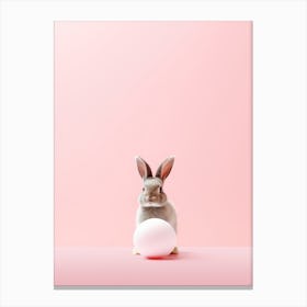 Bunny and Pink 1 Canvas Print