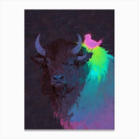 Bird On A Buffalo Canvas Print