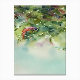 Shrimp II Storybook Watercolour Canvas Print