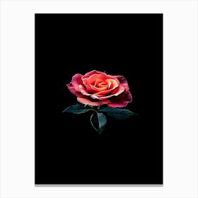 Rose On Black Background 11 Canvas Print